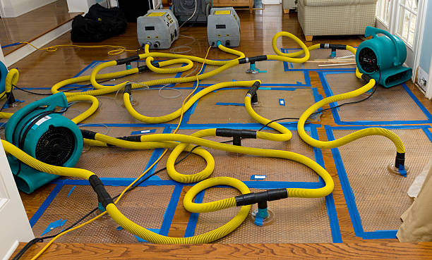Professional Water Damage Restoration technician working in Liberty Center, OH